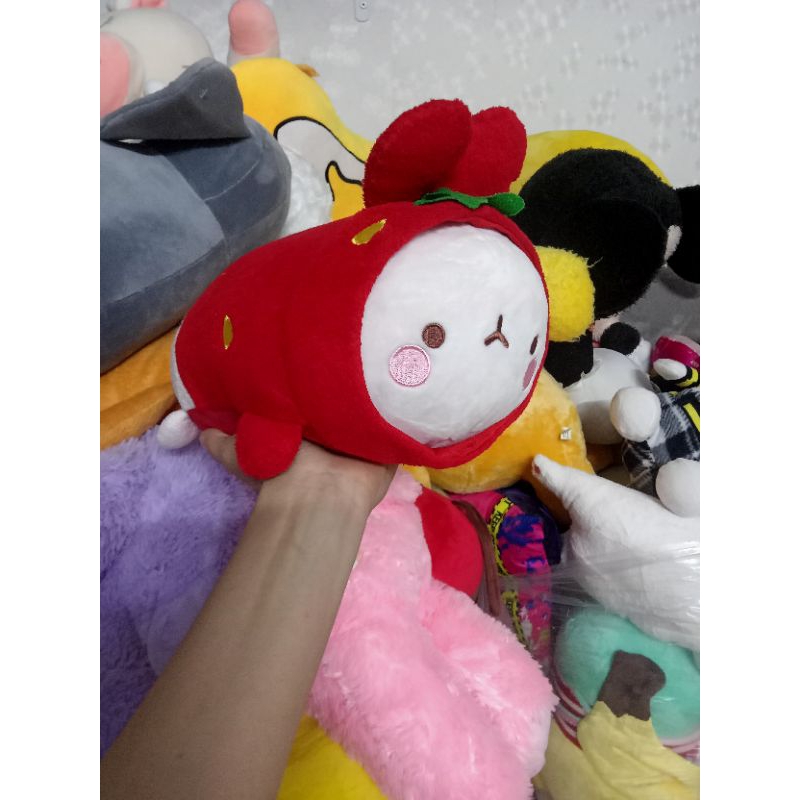 Gấu bông molang coslay