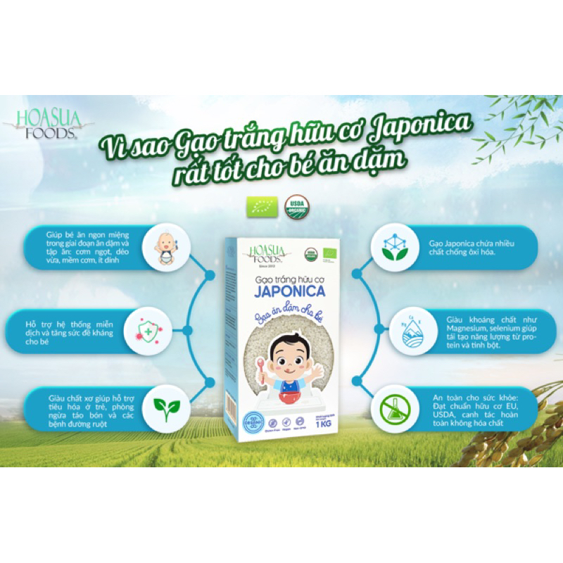 Gạo ăn dặm hữu cơ cho bé ăn dặm 1kg