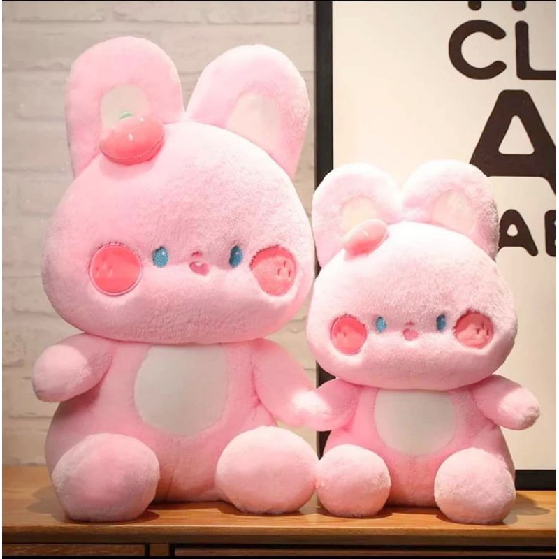 Gấu bông - Thỏ lông mềm .