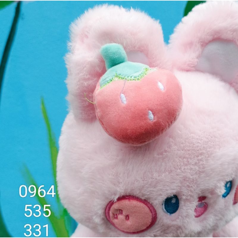 Gấu bông - Thỏ lông mềm .