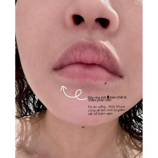 Son dưỡng môi lô hội thái lan