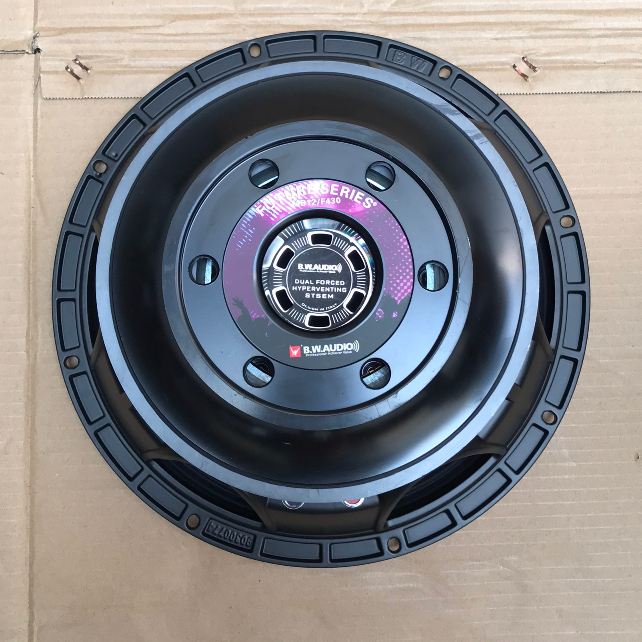 CỦ LOA BASS 30 COIL 100 TỪ 200 - 8Ohm HÀNG NHẬP KHẨU CHÍNH HÃNG BW AUDIO