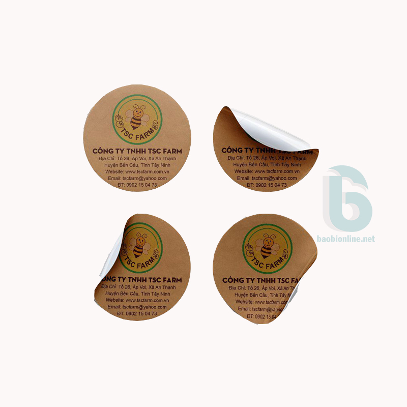 DECAL NHỰA TRẮNG A4 | DECAL NHỰA CHỐNG NƯỚC IN ĐƯỢC TRÊN MÁY IN PHUN - BAOBIONLINE