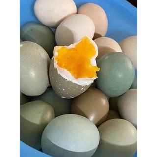 20 Trứng chim TRĨ bổ dưỡng cho mẹ bầu và trẻ nhỏ