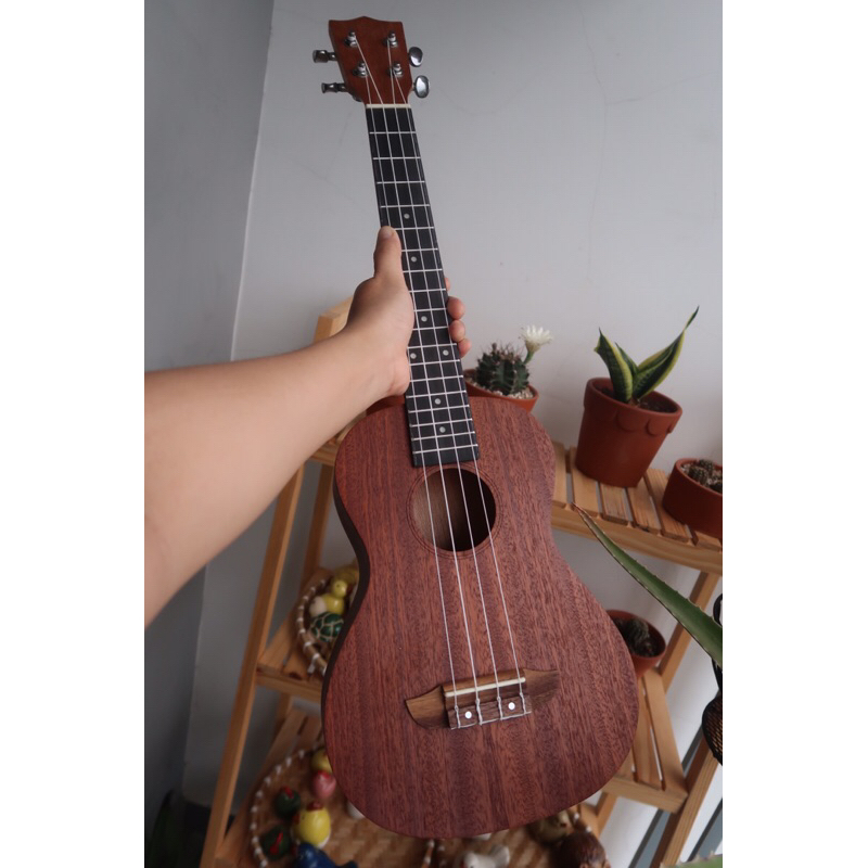 Đàn ukulele concert 23inchs gỗ thông giá siêu rẻ ( tặng phụ kiện)