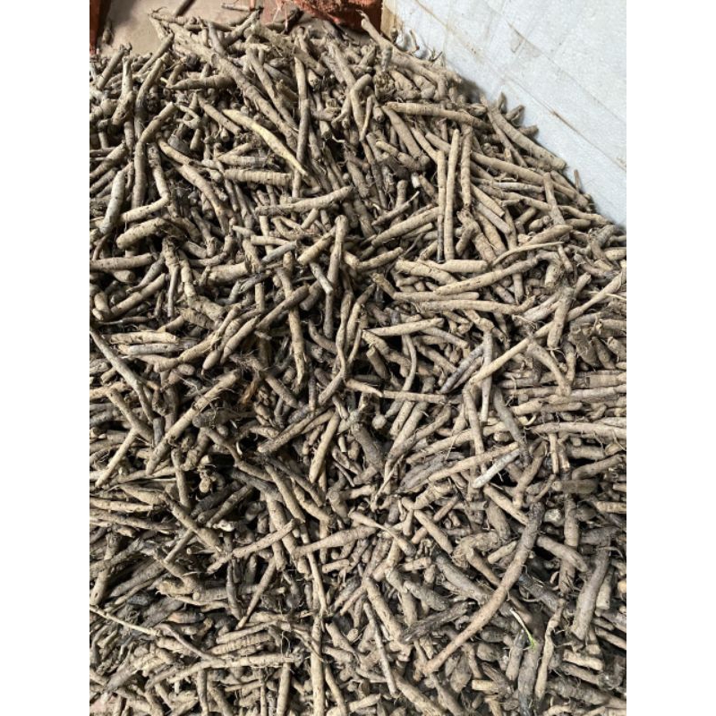 Sâm cau đen sâm Tiên Mao rừng 1kg