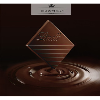Socola Lindt Excellence Cacao(100g)