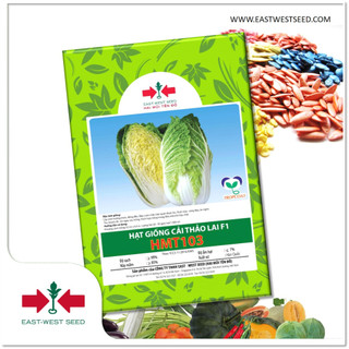 Gói 10g hạt giống cai thảo hmt103 của east-west seed