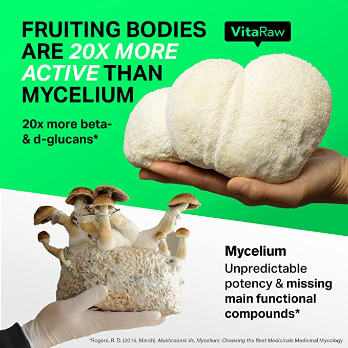 VitaRaw Lion's Mane 2400mg - Viên uống nấm hầu thủ giúp hỗ trợ chức năng não, trí nhớ, sự tập trung giảm stress 120 viên