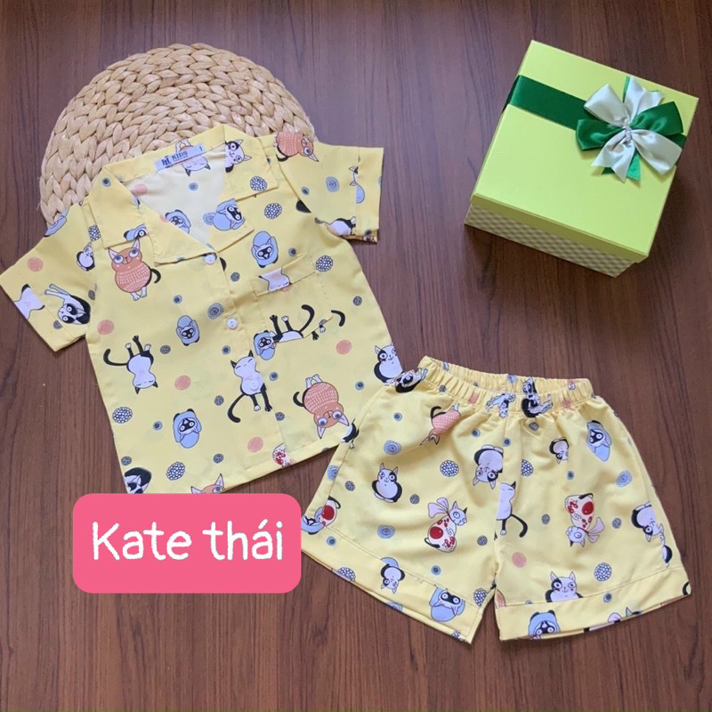 Pijama cho bé , pijama bé trai bé gái 8-50kg