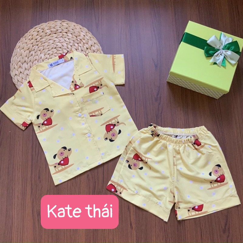 Pijama cho bé , pijama bé trai bé gái 8-50kg