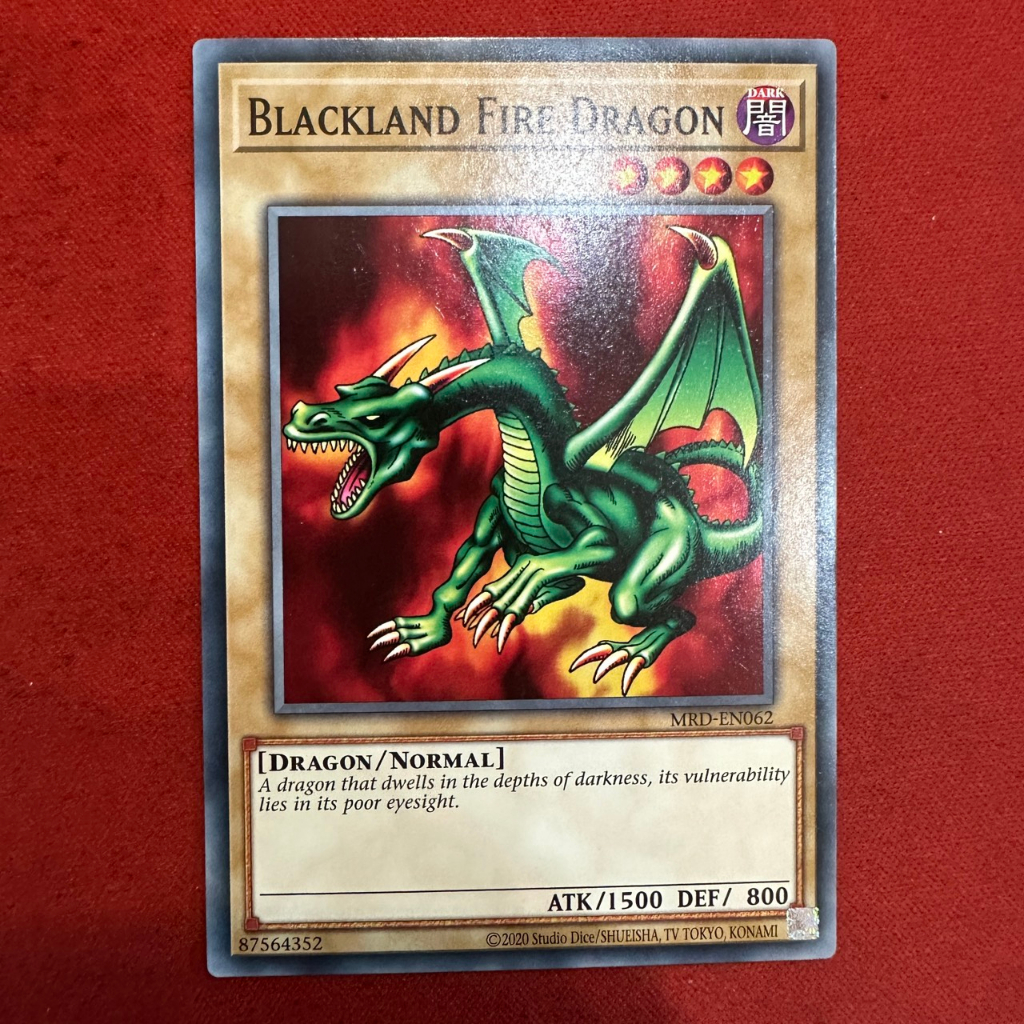 Blackland Fire Dragon