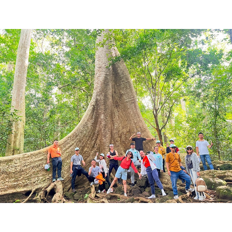 TOUR VƯỜN QUỐC GIA CÁT TIÊN (2N1Đ)