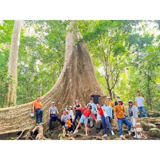 TOUR VƯỜN QUỐC GIA CÁT TIÊN (2N1Đ)