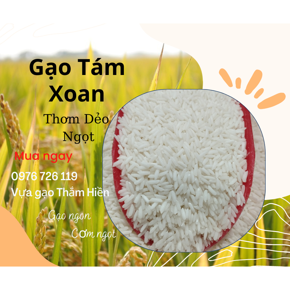5KG Gạo Tám Xoan - Gạo Thơm Dẻo Ngọt - Gạo Dẻo Vừa, thơm cơm - Bena Organic