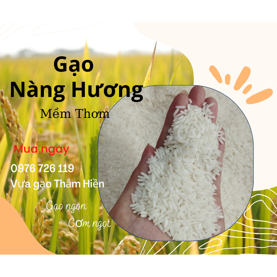 Gạo Nàng Hương - Gạo Mềm Thơm - Bena Organic