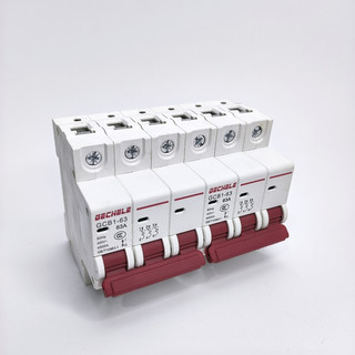 Atomat đảo chiều SNB1-63 2P 63A LW ( chuyển đổi 2 nguồn điện 1 pha)