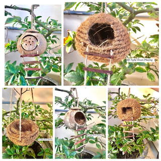 Tổ chim tổ ốc, hang bò sát