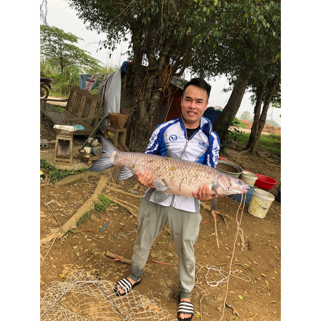 Thính trắm đen Ngư Vương, Thính Câu Cá chuyên đen chép