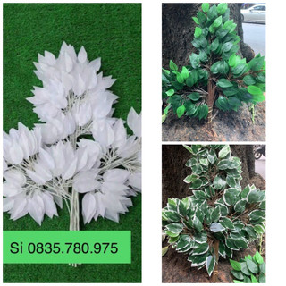 Cành xi xanh, xi viền trắng , xi trắng làm cây xi giả đồ trang trí quán cofee, cây xanh giả