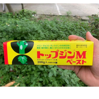 Keo Liền Sẹo, Liền Da Cây Hàng Nội Địa Nhật Bản  200g | CHANLONG