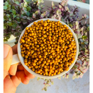 35gr phân tan chậm sen đá phương anh chuyên dùng cho sen đá, xương rồng