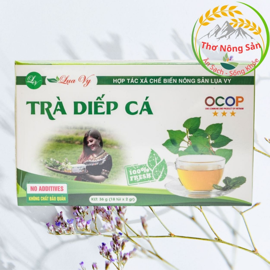 Trà Diếp Cá Lụa Vy- Mát gan, cải thiện nội tiết