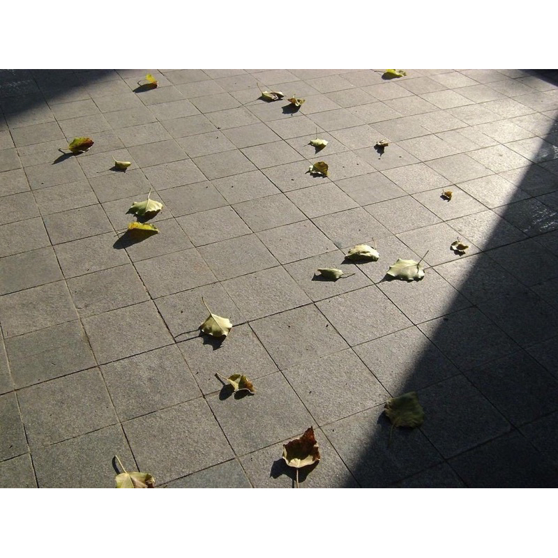 Máy ảnh vintage Sony DSC-S750