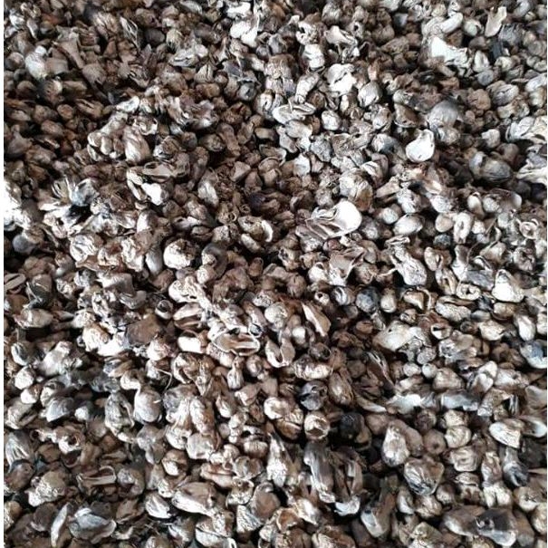 Nấm Rơm Loại Búp Sấy Khô 500g