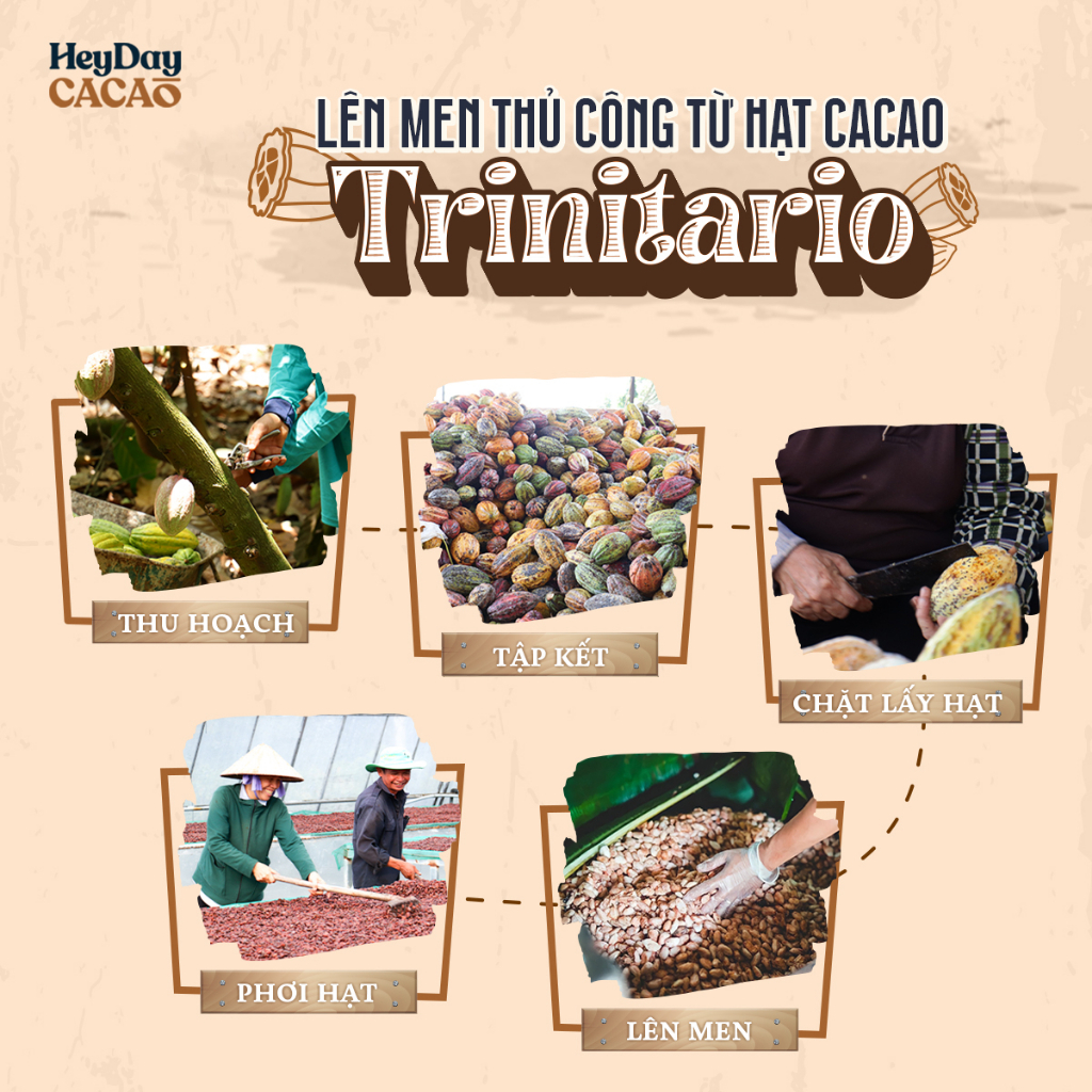 Túi 80g Bột cacao nguyên chất 100% Heyday - Dòng Balanced phổ thông