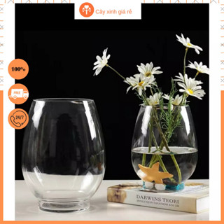 Bình thủy tinh khum trồng cây nuôi cá 2 kích thước