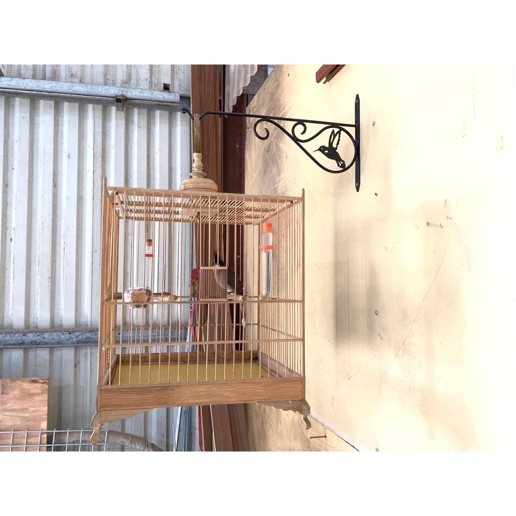 Móc Treo Lồng Chim Bằng Thép, hàng dày dặn, nước sơn bền  chịu lực 15kg, móc treo chậu hoa