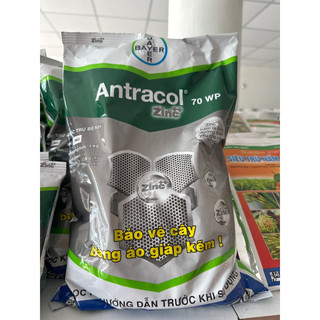 Thuốc trừ bệnh Antracol 70WP 1kg