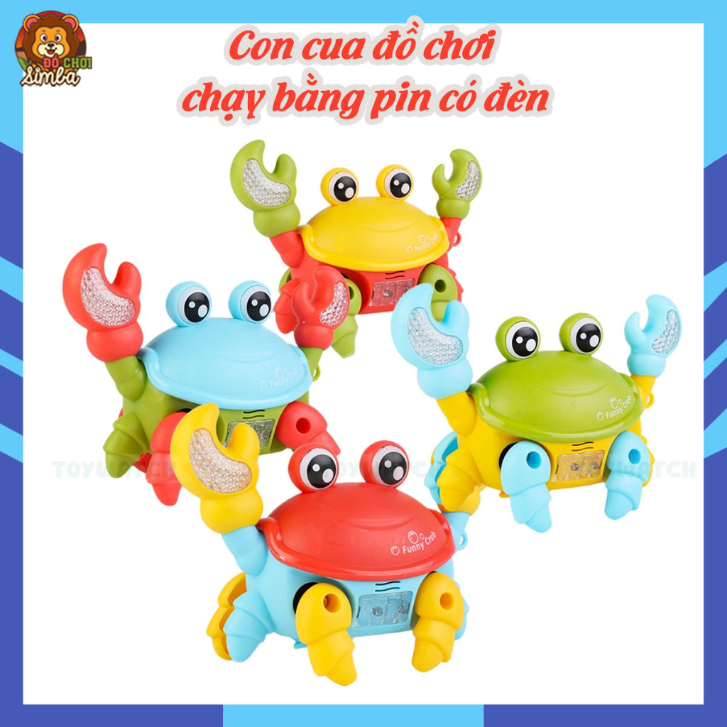 Combo 100k 5 món ( con cua + đèn pin chiếu hình + tranh nước ma thuật + rùa bơi + lật đật
