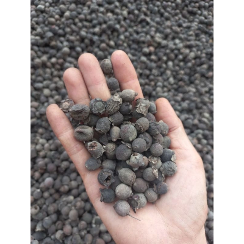 ☑️1kg Sim khô ngâm rịu