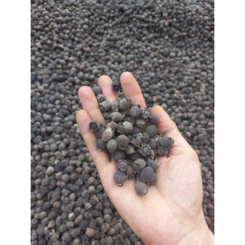 ☑️1kg Sim khô ngâm rịu