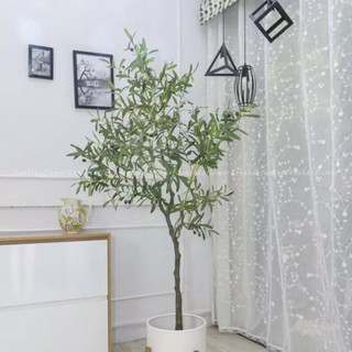 Cây giả cây oliu giả trang trí nhà cửa