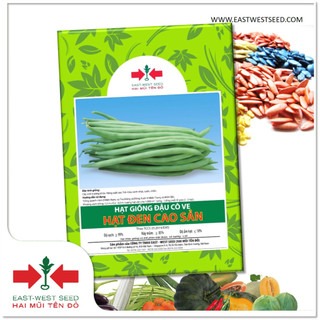 Gói 500g hạt giống đậu cô ve hạt đen cao sản của east-west seed