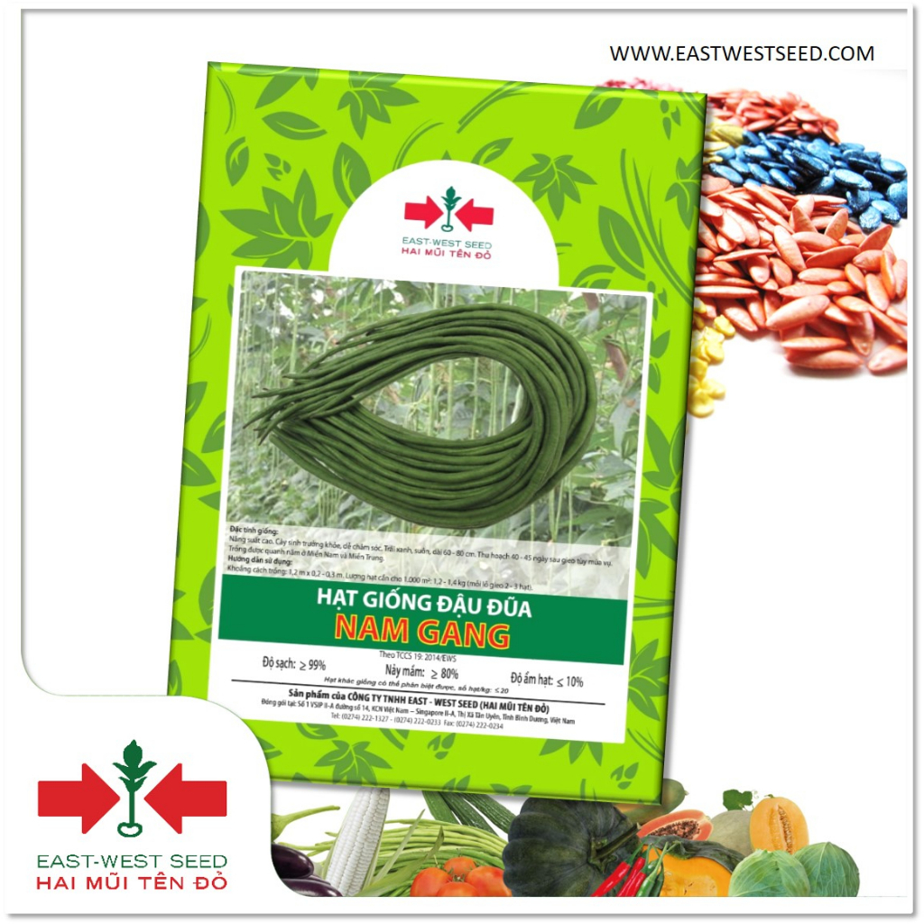 GÓI 100g (KHOẢNG 670 HẠT) HẠT GIỐNG ĐẬU ĐŨA NAM GANG CỦA EAST-WEST SEED (HAI MŨI TÊN ĐỎ)