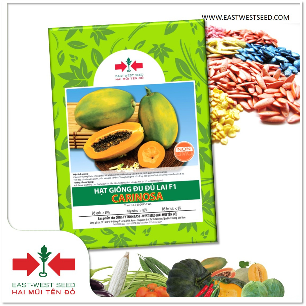 GÓI 20 HẠT ĐU ĐỦ RUỘT VÀNG CARINOSA CỦA EAST-WEST SEED (HAI MŨI TÊN ĐỎ)
