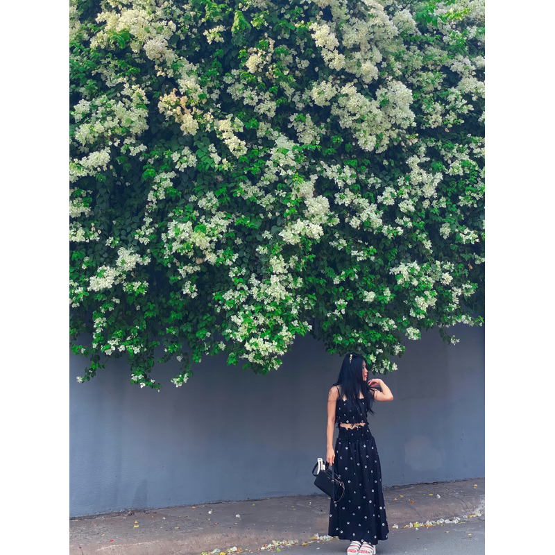 THANH LÝ SET ĐẦM RỜI BO CHUN