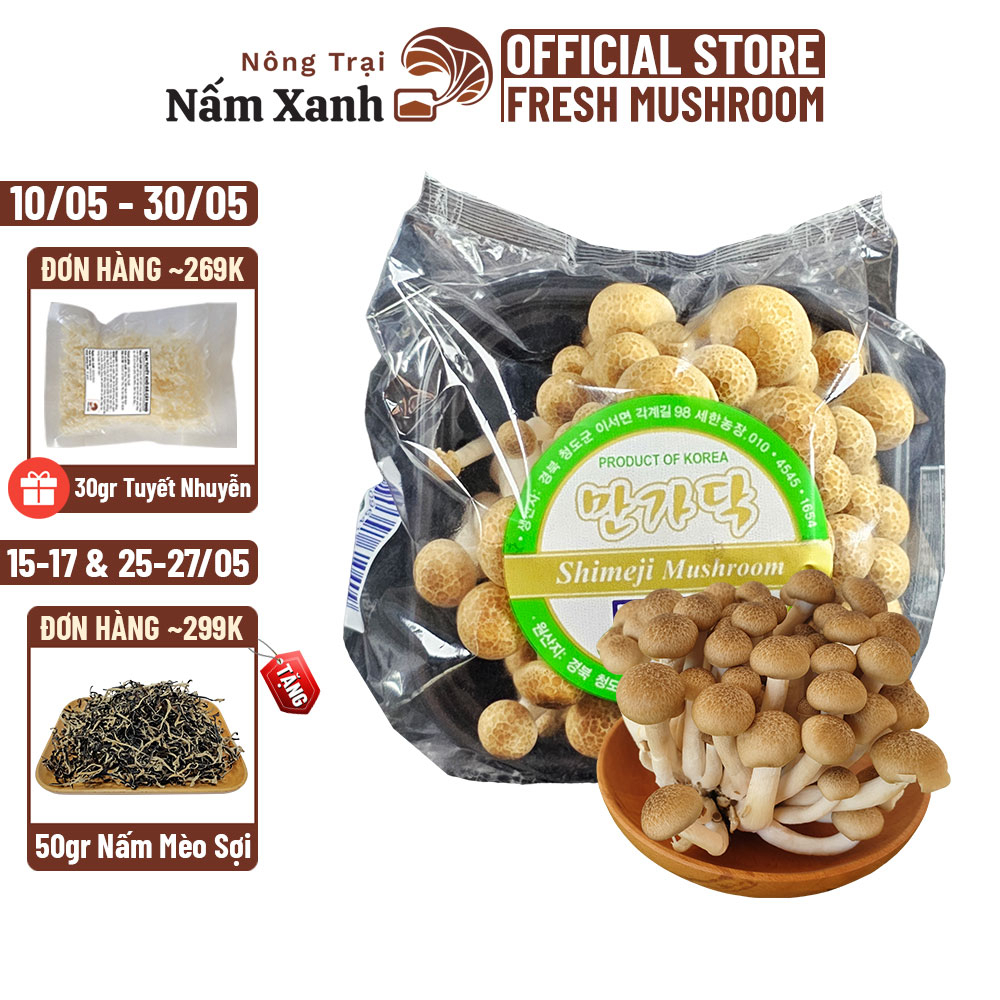 Nấm Linh Chi Nâu Hàn Quốc Tươi (900gr 1kg) Loại 1 Ngon Sạch Giòn - Nông Trại Nấm Xanh