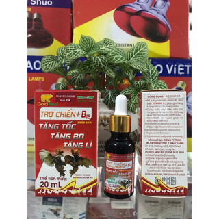 Trợ chiến b12 tăng lực tăng bo có nhân sâm