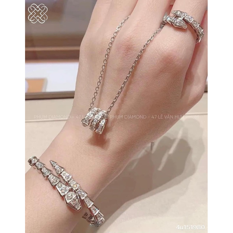 Bộ Rắn Vòng tay + Nhẫn + Dây chuyền bạc 925