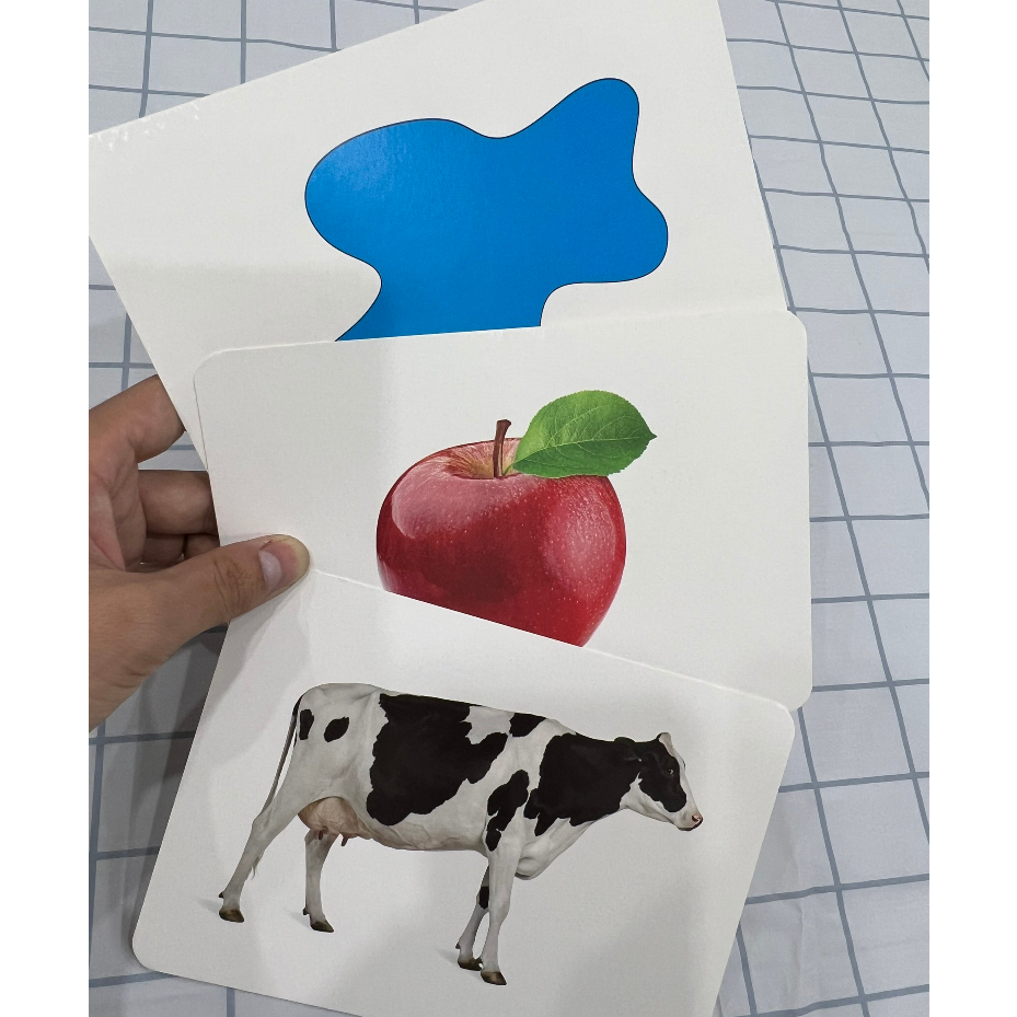 Bộ thẻ học thông minh cho bé - Flashcard TNBOOKS - 100 thẻ 10 chủ đề