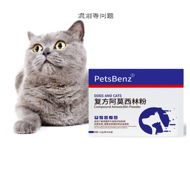 Bột Amoxicillin tương trợ tốt về ho, cảm, đường hô hấp, đường tiết niệu và nhiễm khuẩn chỗ bị thương Petsbenz