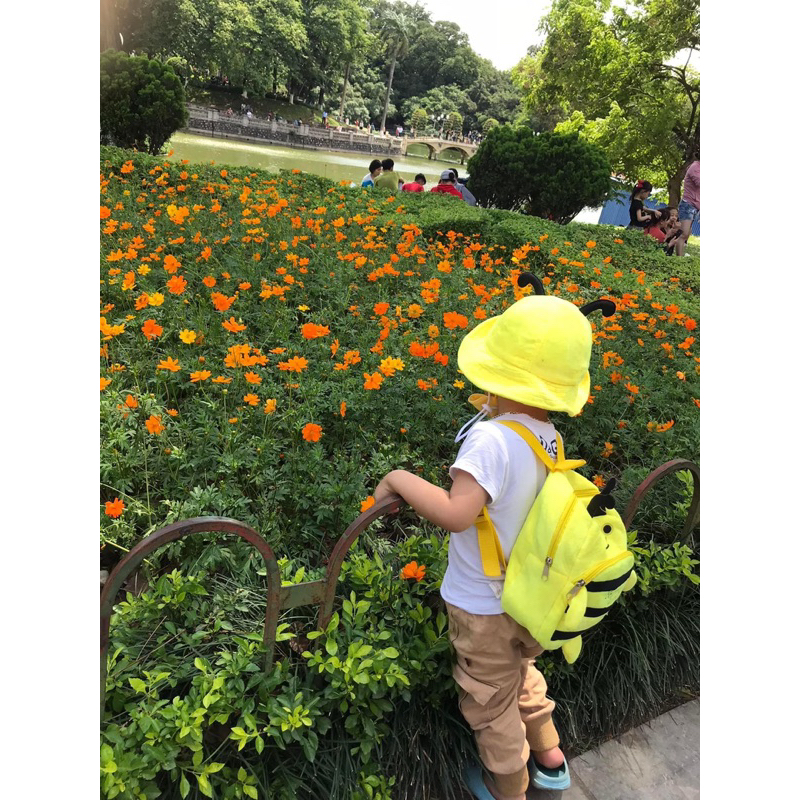 Set balo kèm mũ ong vàng