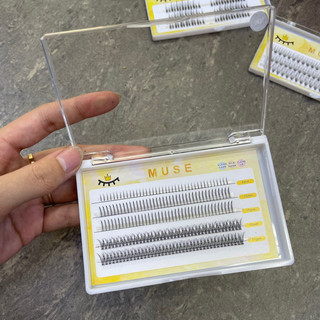 Mi sợi muse mã n01 n07 n03 lông mi giả tự nhiên