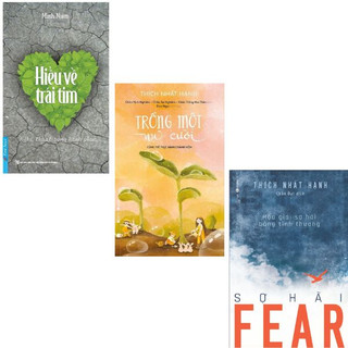 Sách - Hiểu về trái tim - Trồng một nụ cười - Fear
