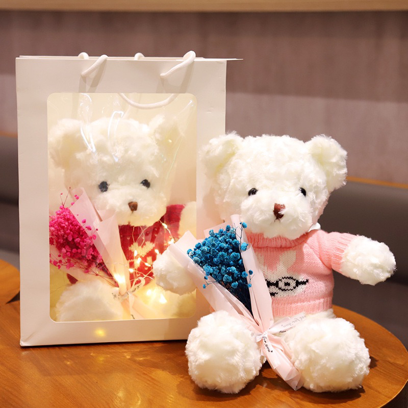 Combo 5 Túi cửa sổ mica 36x25x12cm